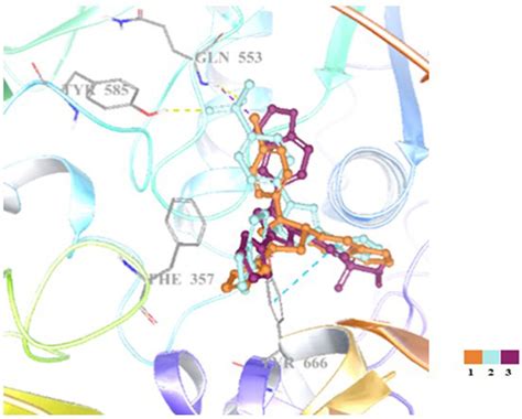 Docking Poses Of Compounds 13 In The Active Site Of Dpp 4 Pdb Code Download Scientific