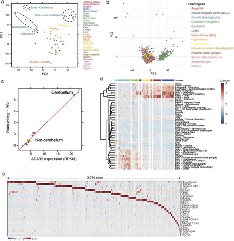 Analysis Of Gtex Rna Seq Data A Pca Was Applied To The Editing Levels