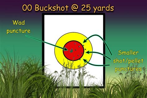 What is Buckshot? - Lee Lofland