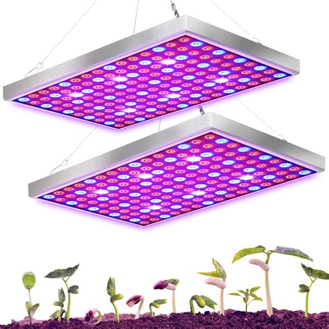 Best Grow Lights For Seedlings Top Picks For Optimal Growth