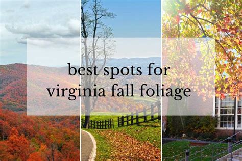 13 Places to See Gorgeous Fall Foliage in Virginia {It's Unforgettable!}