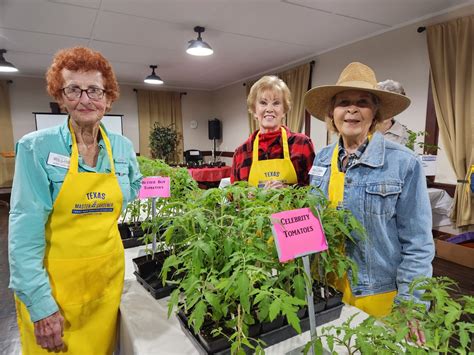 Tomato Vegetable Sale Gonzales Master Gardeners