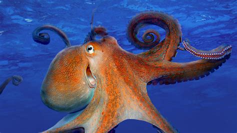 Octopus Desktop Wallpapers 4k Hd Octopus Desktop Backgrounds On