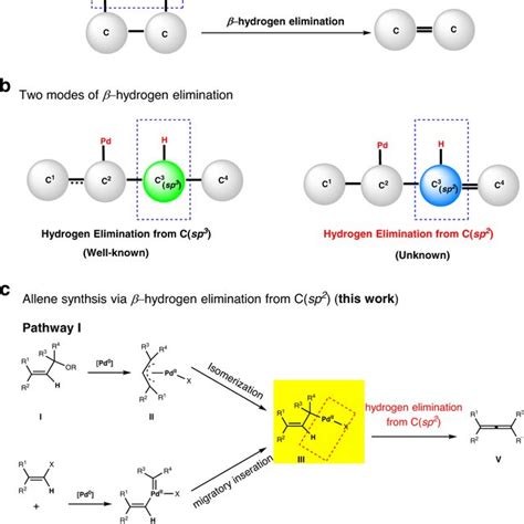 Pdf Palladium Catalyzed Allene Synthesis Enabled By β Hydrogen