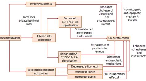 GLP-1 RAs: A Potential Game-Changer in Reducing Colorectal Cancer Risk