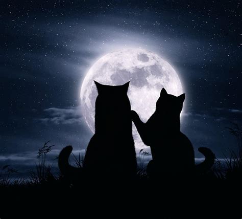 Black Cat Moon Wallpapers - Top Free Black Cat Moon Backgrounds ...