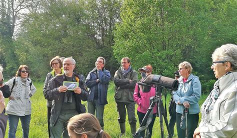 Houdemont A L Coute Des Oiseaux Des Coteaux