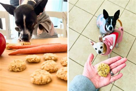 Best Gluten Free Homemade Dog Treats Banana Carrot Recipe