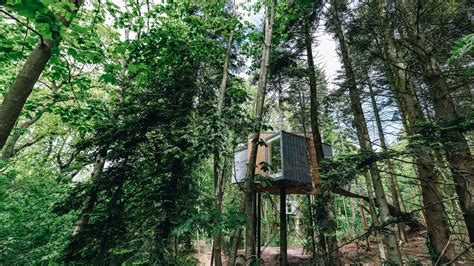 7 New Treehouse Hotels to Add to Your Travel Wishlist | Condé Nast Traveler