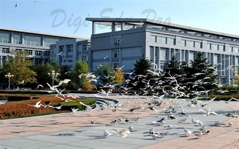 Shenyang Sport University