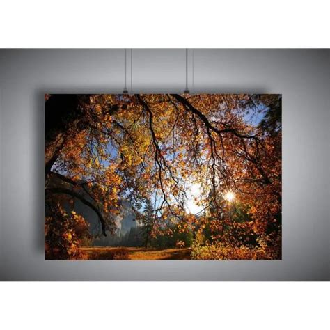 Poster Paysage D Automne Meteor