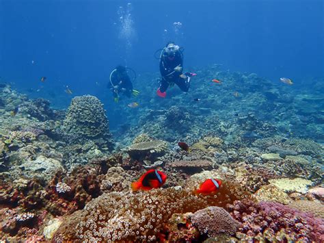 Relaxing Dives on the Coral Reefs | Viking Scuba Kabira