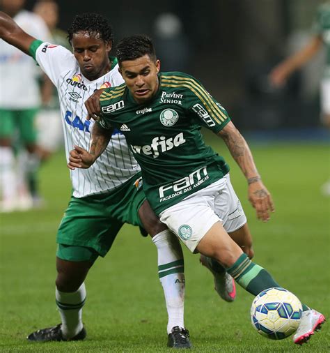 Palmeiras X Chapecoense S O Paulo Sp Flickr