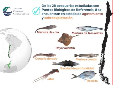 Seafood Media Group Noticias Recursos Pesqueros En Crisis Informe