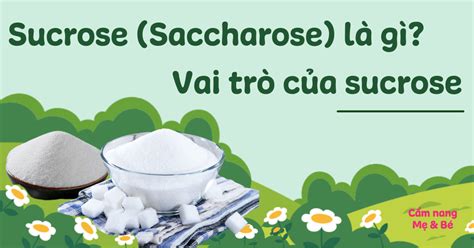 Sucrose Saccharose Là Gì Có Tốt Không Vai Trò Của đường Sucrose