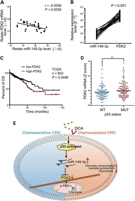 Dichloroacetate Restores Colorectal Cancer Chemosensitivity Through The