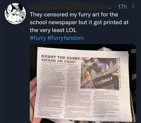 Best Furry Porn Images On Pholder Furry Irl Futadomworld And Furry Femboy