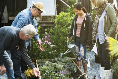 Pflanz eine Blume Tag am 12 März ein botanischer Feiertag