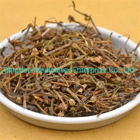 Hedyotis Diffusa Herb Raw Materials Prepared Traditional Chinese Herbal