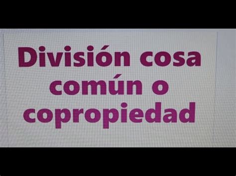 Demanda de División de Cosa Común Modelo Explicado Viltis