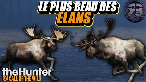 LE PLUS BEAU DES ELANS MISSION TE AWAROA THE HUNTER CALL OF THE