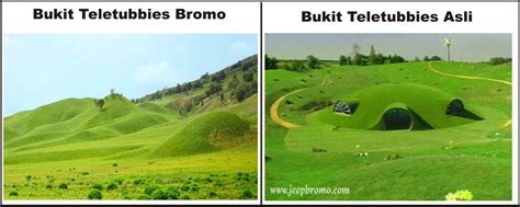 Bukit Teletubbies Bromo Dan Rumah Teletubbies