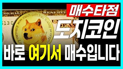 도지코인 매수타점 바로 여기서 매수입니다 도지코인 도지코인전망 도지코인급등 Youtube