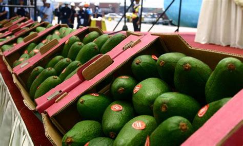 Palta Hass Dentro De Los Principales Productos De Exportaci N De Per