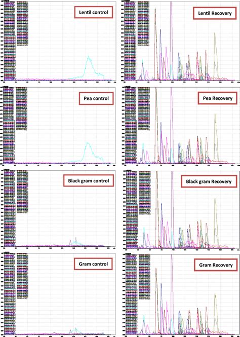 Lc Ms Ms Chromatograms Of Control And Fortified Matrices Of Lentil