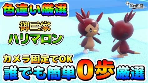 【ポケモンsv】色違いハリマロンの厳選場所！大量発生無しでカメラ固定で楽々厳選出来るオススメ場所！【色厳選】 Youtube