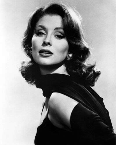 Suzy Parker Suzy Parker Model Glamour