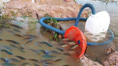 Unique Fish Trapping System Using Long Pipe Big Plastic Bottle By