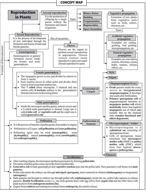 Ap Biology Unit 5 Animal Physiology Cheat Sheet Artofit