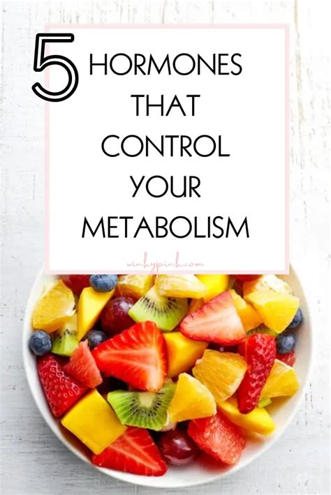 5 Hormones That Control Your Metabolism - Winky Pink