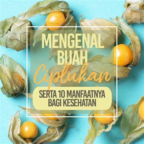 Manfaat Buah Ciplukan Bagi Kesehatan