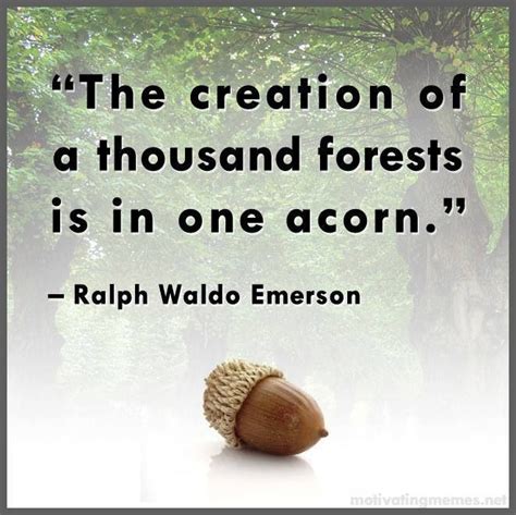 The Creation Of A Thousand Forests Is In One Acorn Your Legacy Will