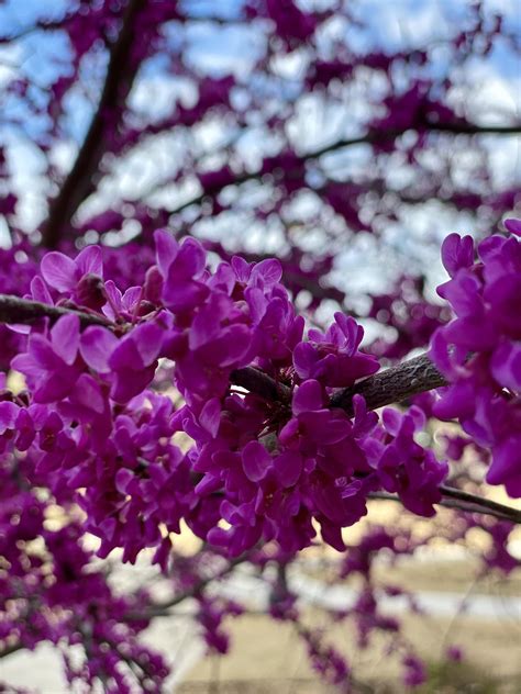 Live Storm Coverage: Grapefruit Hail!! | It must be true what they say