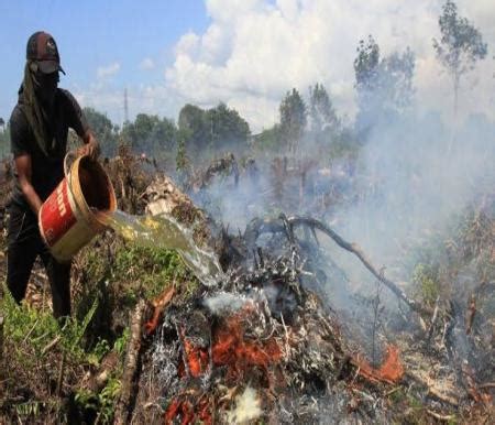 Hotspot Di Sumatera Sore Ini Menurun Riau 21 Titik Panas Sumber