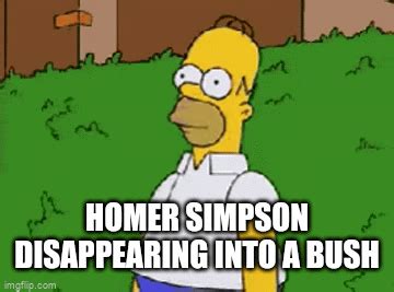 Homer Disappears Into Bush Imgflip