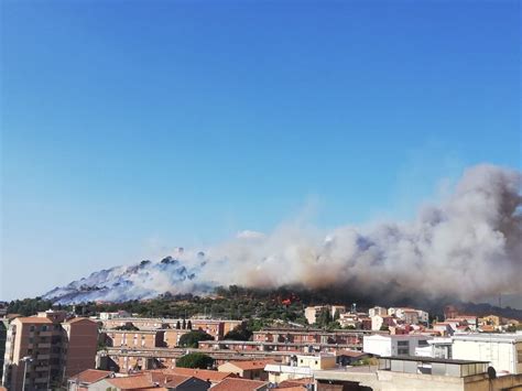 Disastro A Cagliari In Cenere Ettari Di Macchia Mediterranea Nel