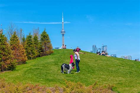 Top 12 Parks In Toronto Lonely Planet