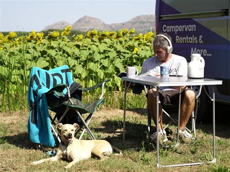 Vacances Avec Chien En Camping Car L ACTIVANS