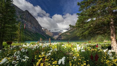 Lake Flowers Wallpapers - Top Free Lake Flowers Backgrounds - WallpaperAccess