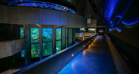 New England Aquarium - Boston, Massachusetts - Find Unique Venues