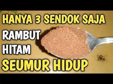 Suami Terkejut Uban Hilang Rambut Menghitam Secara Alami Youtube