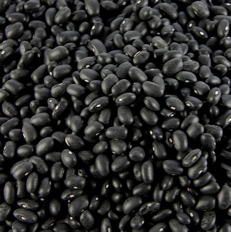 Kacang Kacang Hitam Kering 1 Kg Beg