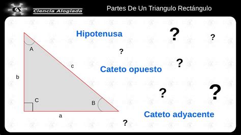 Partes Do Triangulo