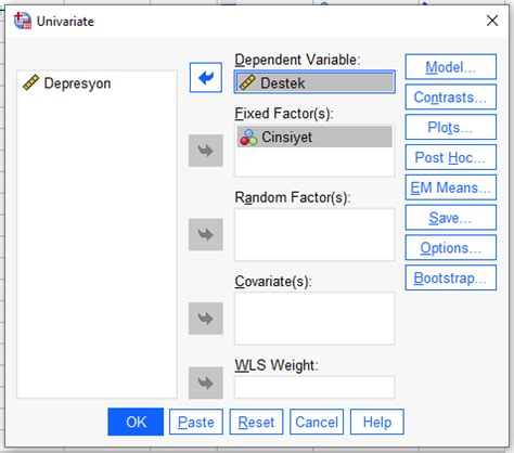 Spss Ile Ancova Analizi Resimli Spss Yardimi Stat St K Merkez
