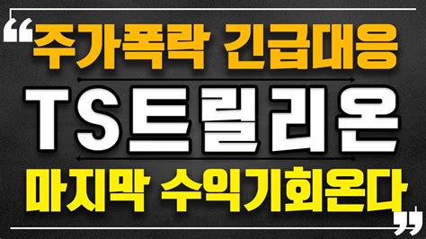 TS트릴리온 TS트릴리온주가 마지막 수익기회 온다 주가폭락 충격속보 내용 터졌다 큰손세력은 이 신호 만 보고있다