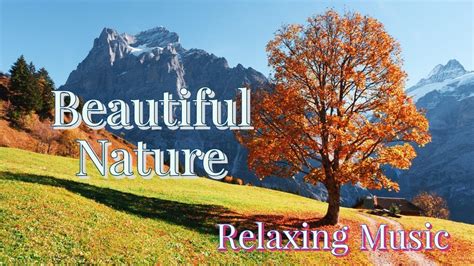 Relaxing Music with Beautiful Nature - Peaceful Piano : r/HardcoreNature